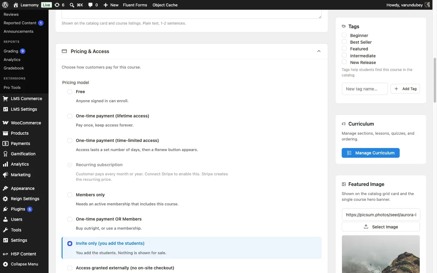 Pricing model selector with Invite only selected