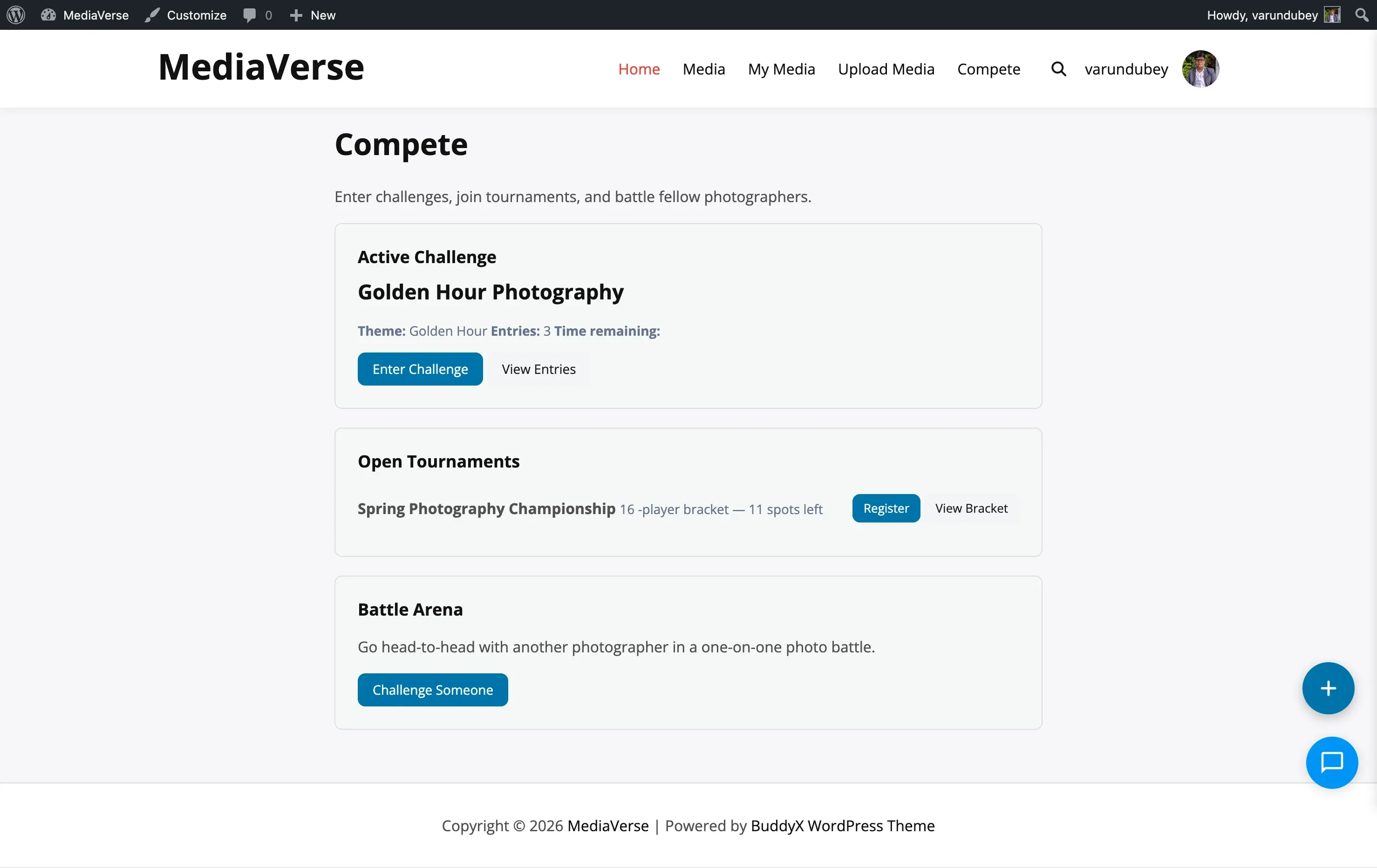 MediaVerse Pro license key entry screen