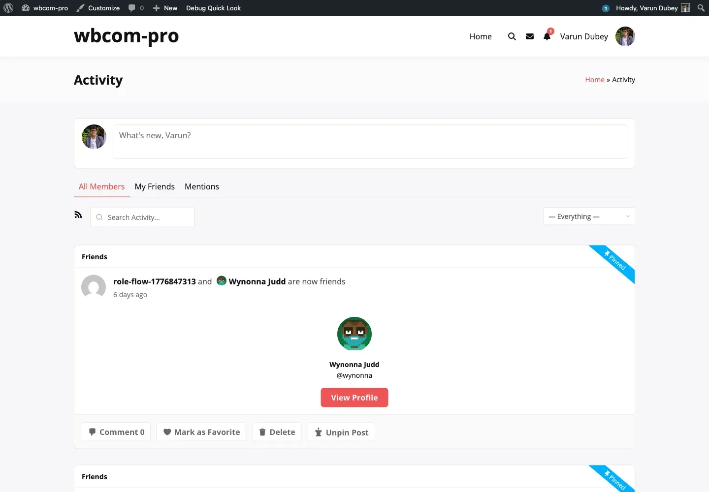 Pinned ribbon on the activity stream