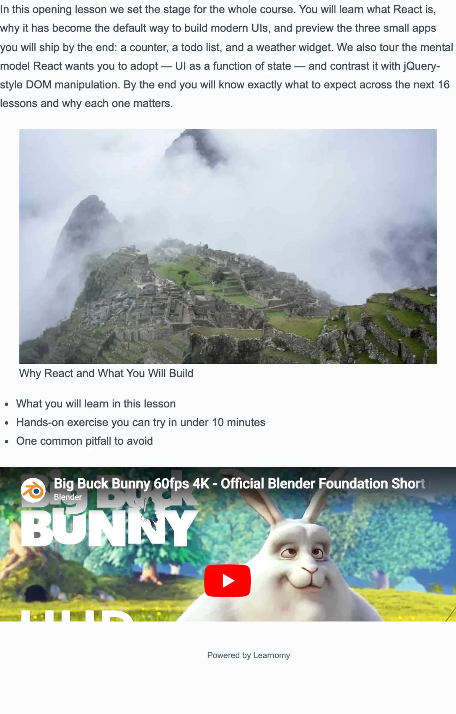 Player content body