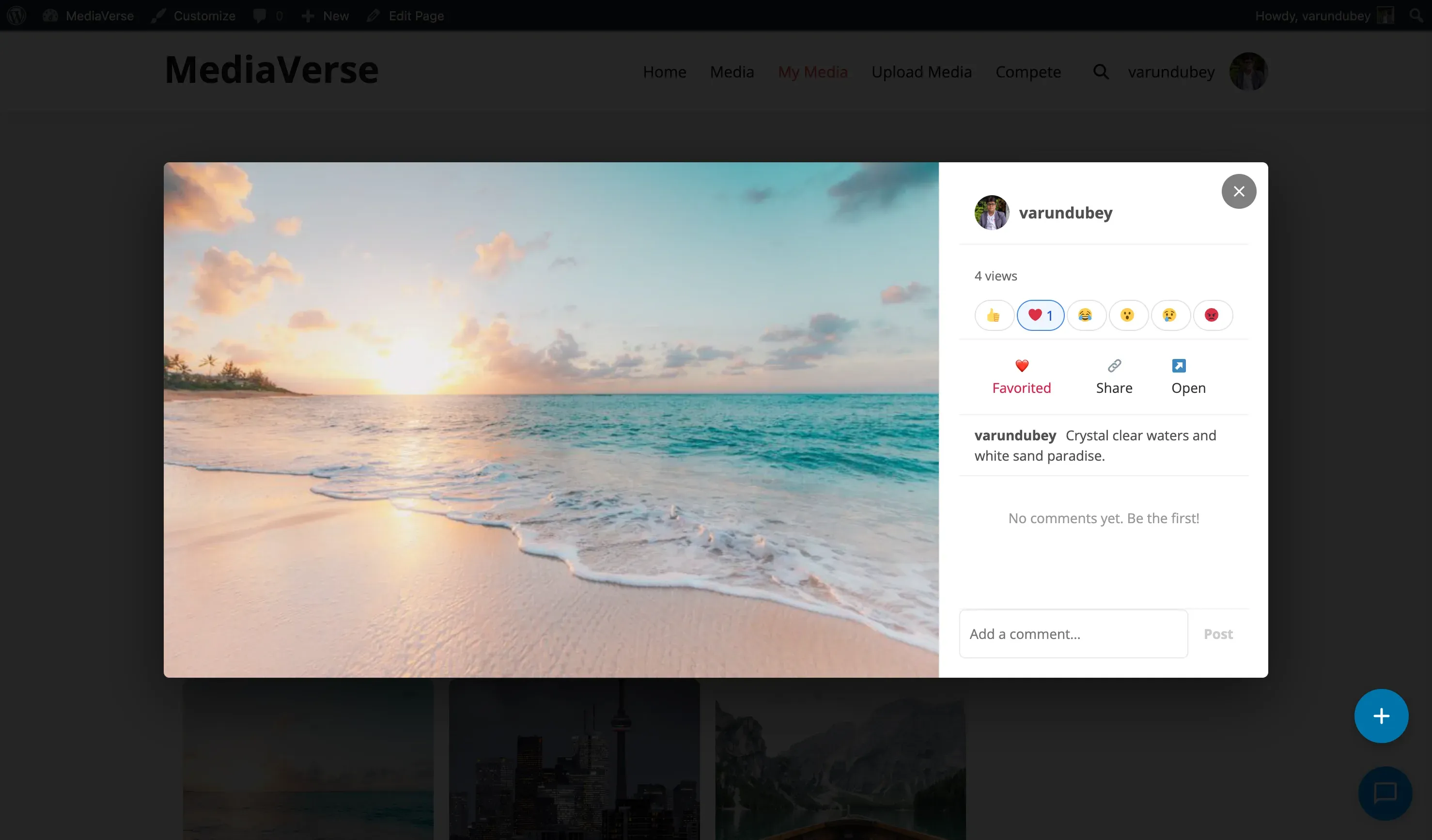 Lightbox with toolbar showing download, fullscreen, share, and reaction controls
